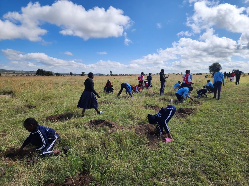 youth planting