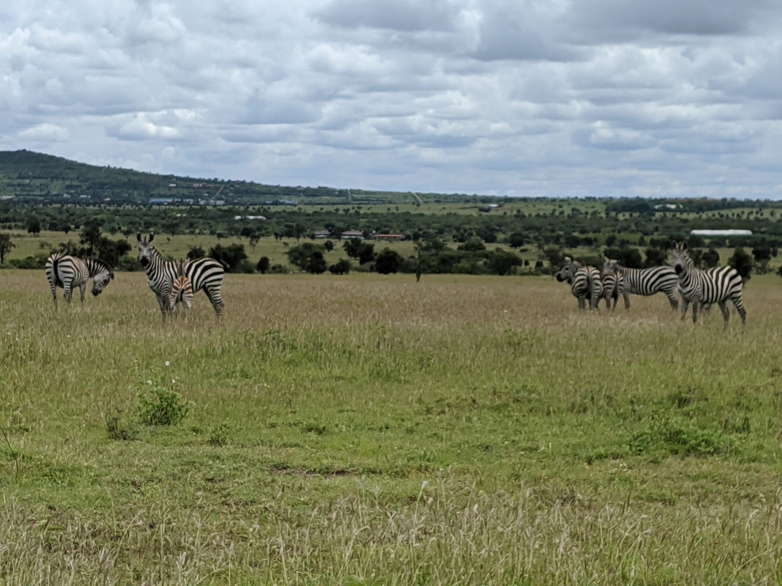 Home img 20191125 125738