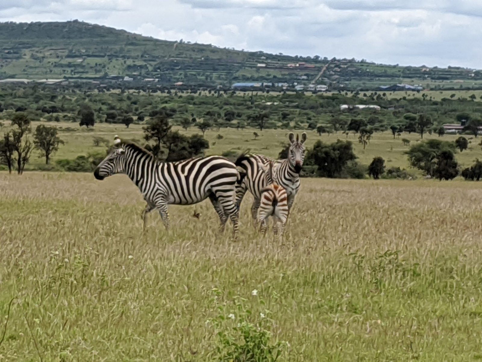 Home img 20191125 125747