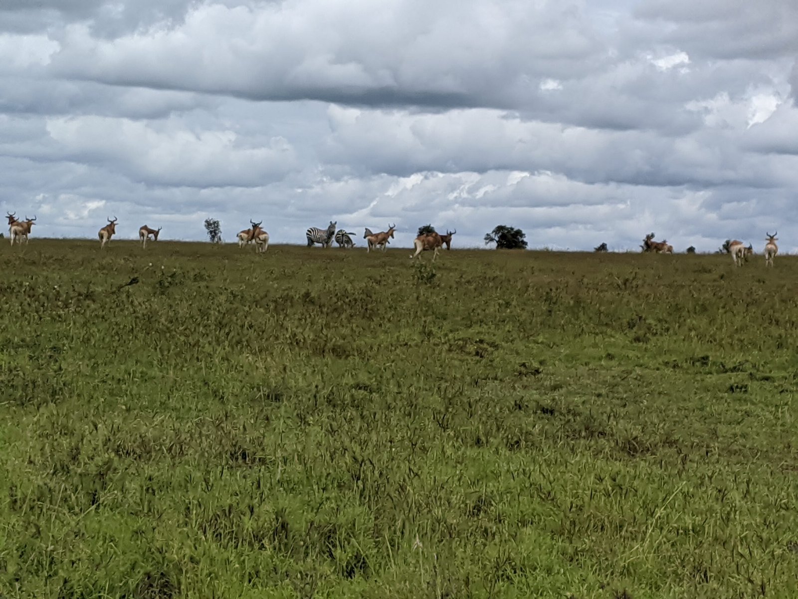 Home img 20191125 130020