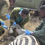 Explore atipoaching, initiative, lukenya, wildlife