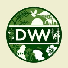 dw logo